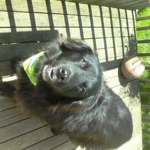 Meet your Posher, Sherry